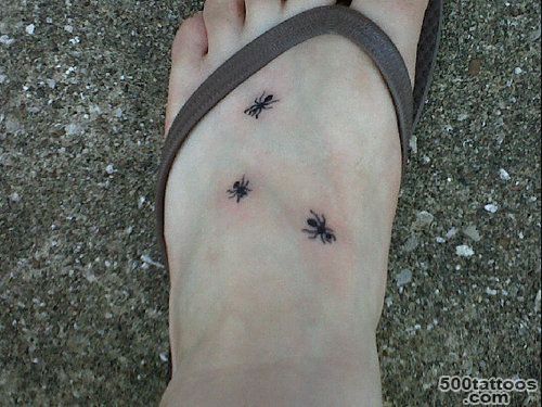 Ant Tattoo Photo Num 4677