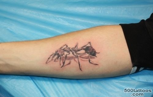 Ant Tattoo Photo Num 4703
