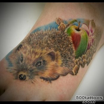 Hedgehog Tattoo Meanings  iTattooDesigns.com_13