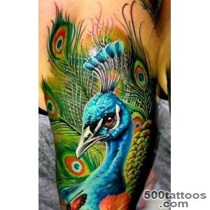 55+ Peacock Tattoo Designs  Art and Design_1