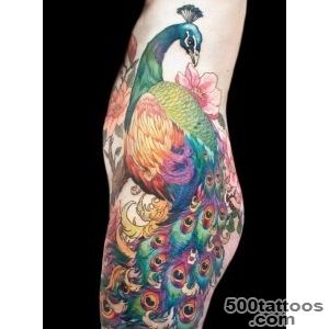 Inspiration and Ideas for Peacock Tattoos « Tattoo Pictures _3