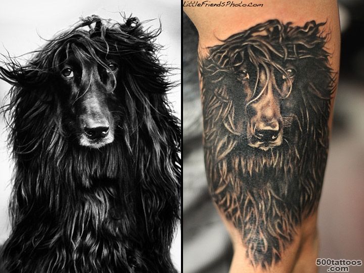 Little Friends Photo Afghan Hound Tattoo by Gary Pirisi at Windy ..._11