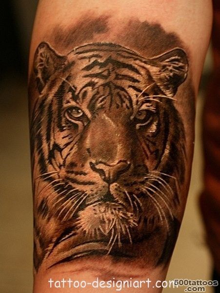 tiger animal tattoo idea image photo picture tattoos art design ..._6