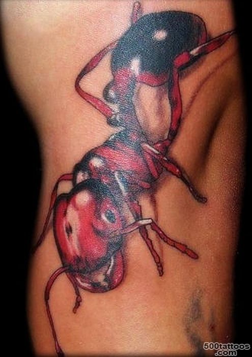 37 Ant Tattoos   Meanings, Photos, Designs for men and women_32