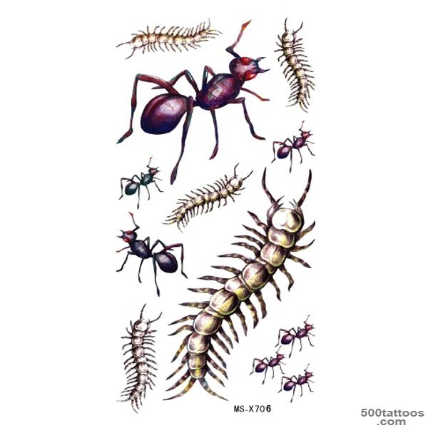 Ant Scolopendra Temporary Waterproof Insect Tattoo Sticker   Darcy_23
