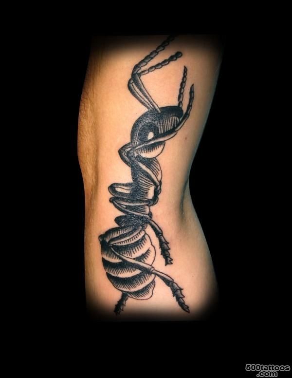 ant tattoo MC Euscher inspired  Tattoos  Pinterest  Ants and ..._46