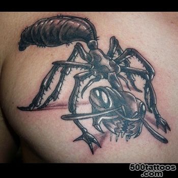Ant Tattoo Meanings  iTattooDesigns.com_2