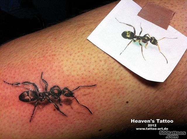 Ant Tattoos and Designs Page 2_5