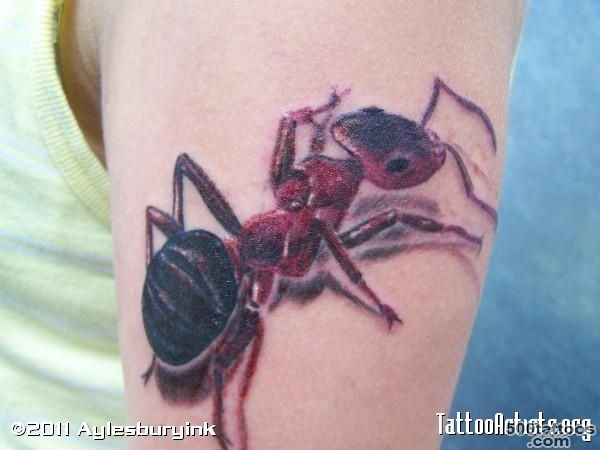 Pin Ant Tattoo on Pinterest_28