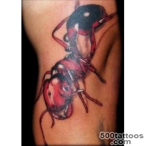 Ant tattoo design, idea, image