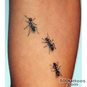 50+ Unique Ant Tattoos_1