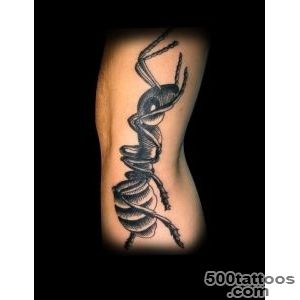ant tattoo MC Euscher inspired  Tattoos  Pinterest  Ants and _46