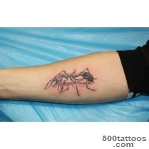 Pin Ant Tattoos Picture Designs Arms Ideas on Pinterest_9