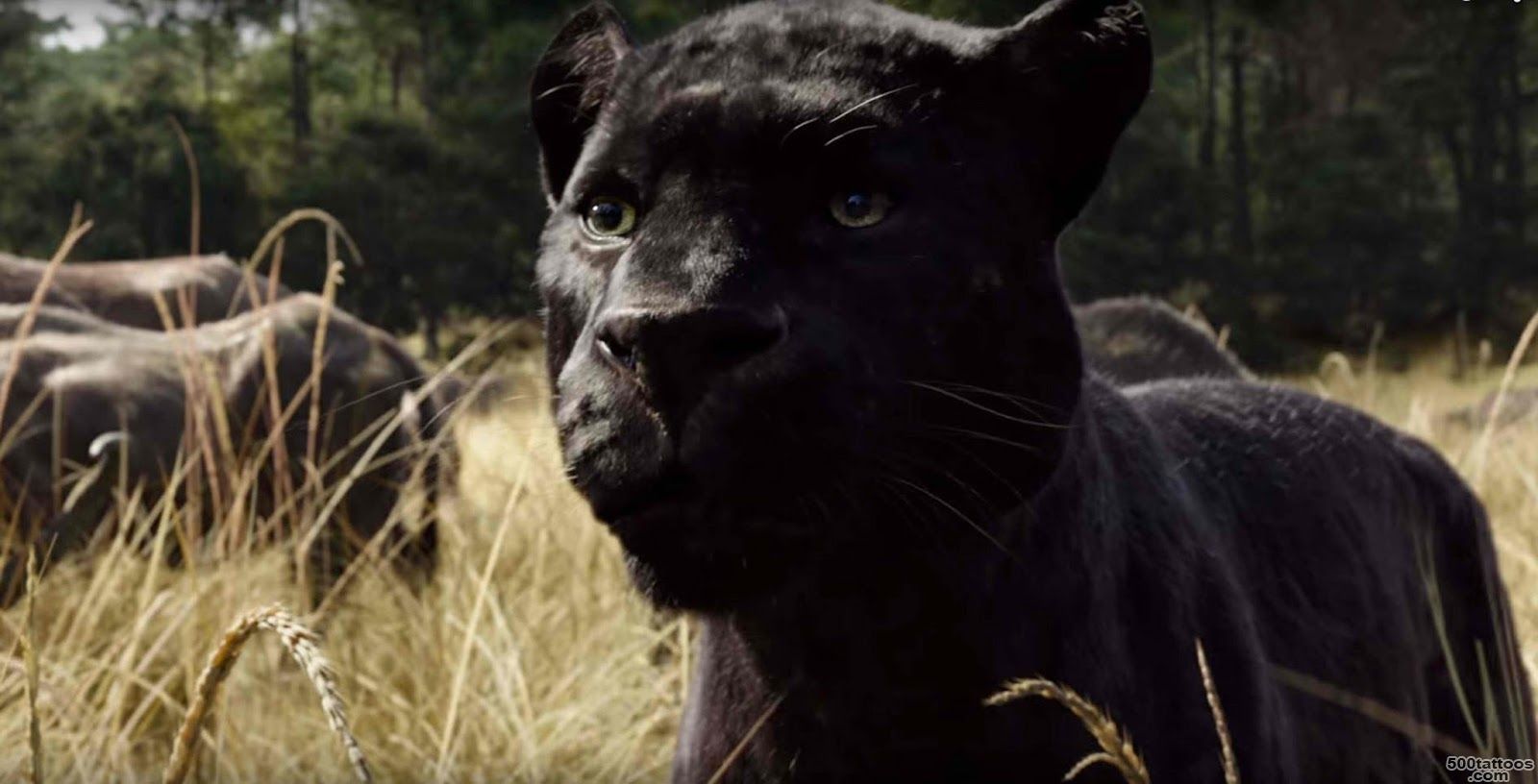 Ben Kingsley is the Voice of Panther, Bagheera, in The Jungle ..._48