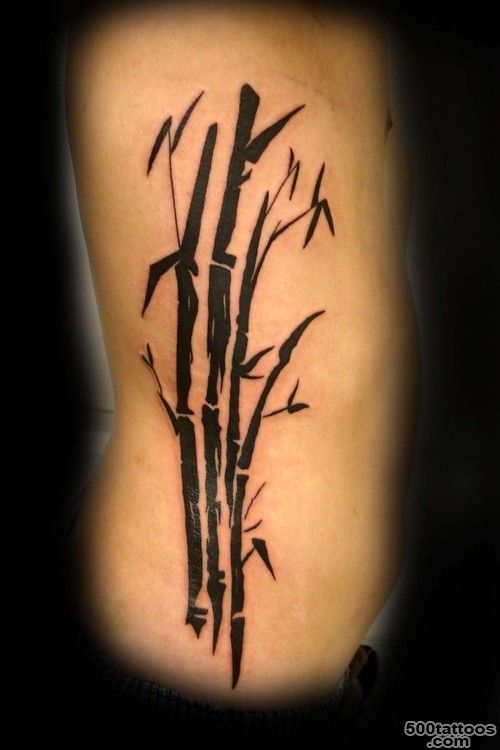Bamboo Tree Tattoos, Designs And Ideas_2