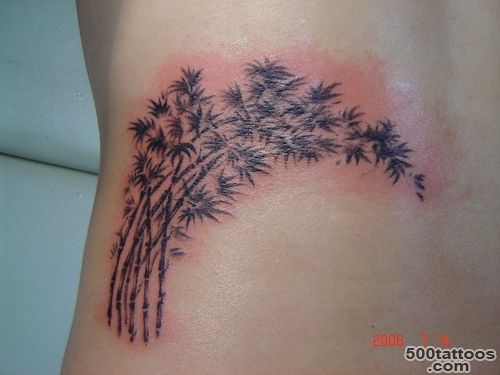 Bamboo Tree Tattoos, Designs And Ideas_47