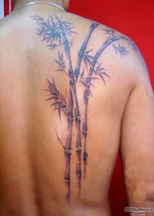 Bamboo Tree Tattoos and Designs Page 8_27