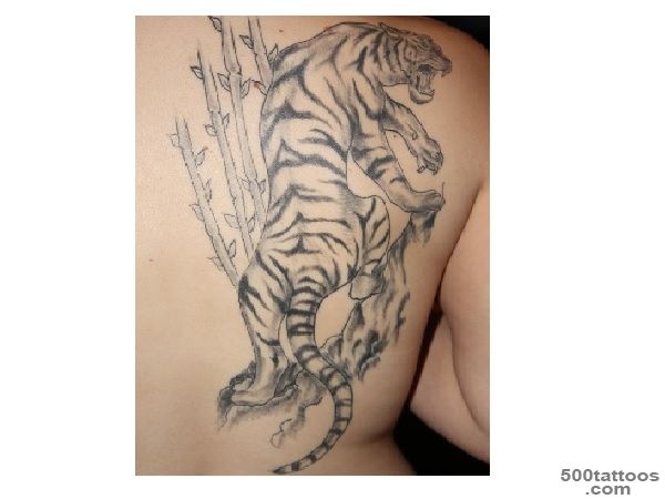 Pin Grey Ink Tiger With Bamboo Tattoo on Pinterest_42
