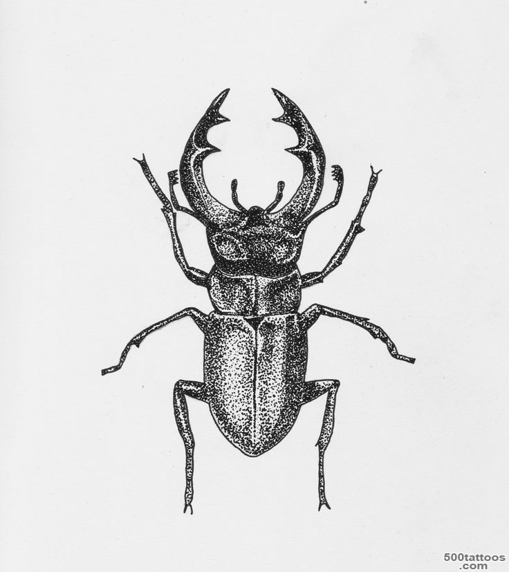 1000+ ideas about Beetle Tattoo on Pinterest  Scarab Tattoo ..._35