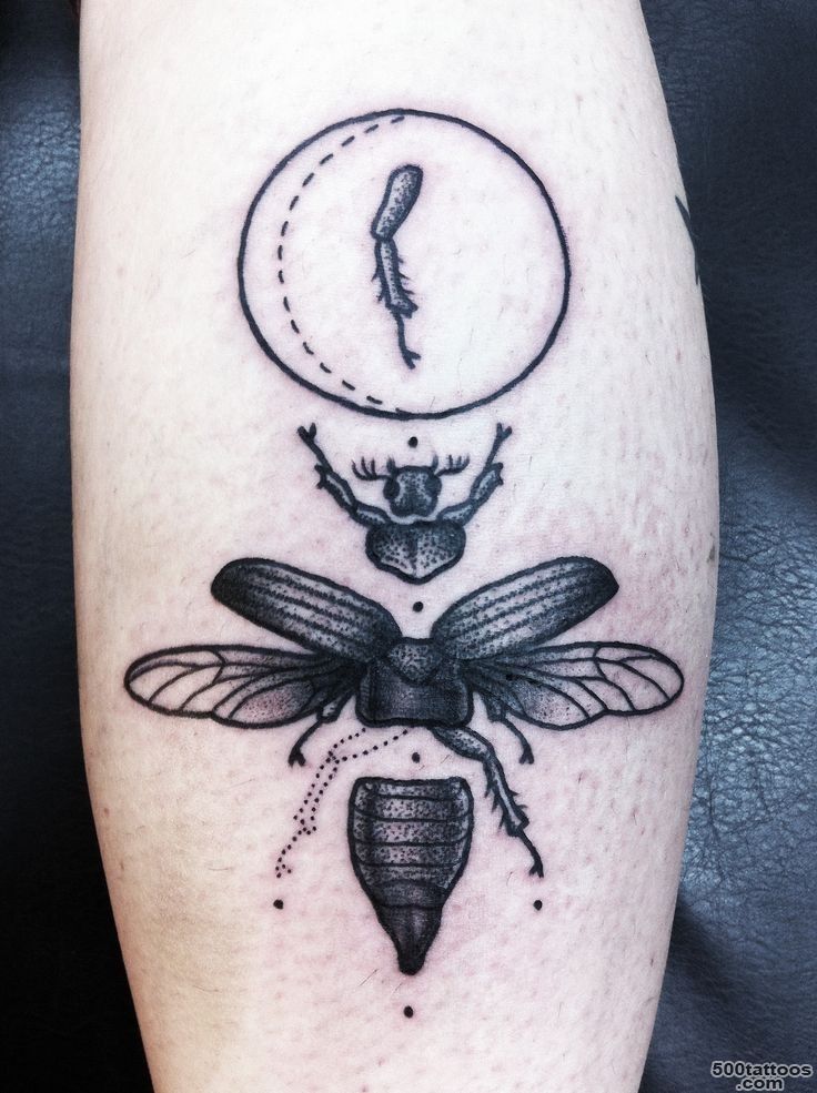 Part of beetle black ink tattoo on leg   Tattooimages.biz_48