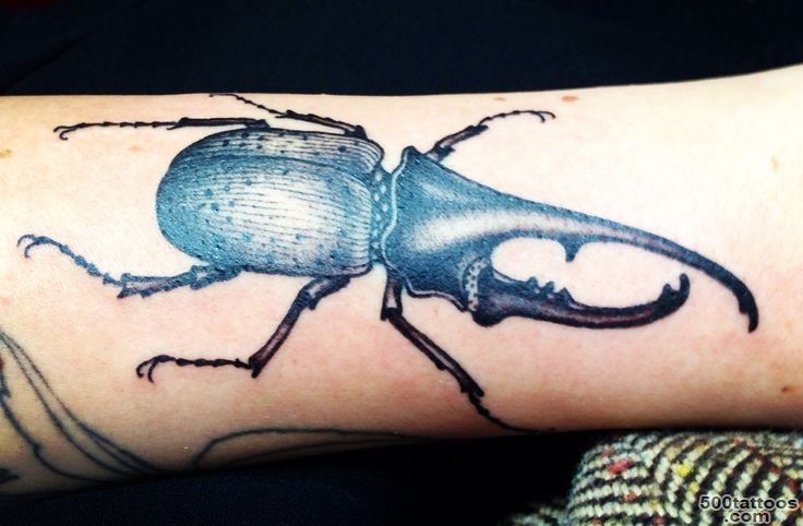 Rhino beetle tattoo  Beautiful  Pinterest  Rhinos, Beetle ..._23