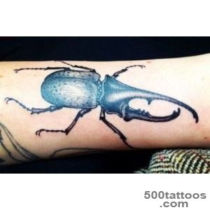 Rhino beetle tattoo  Beautiful  Pinterest  Rhinos, Beetle _23