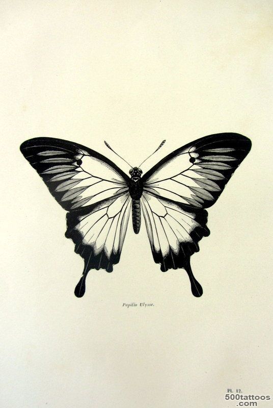 1000+ ideas about Butterfly Tattoos on Pinterest  Tattoos, Tattoo ..._11