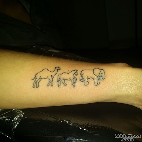 Pin Camel Horse Elephant on Pinterest_42