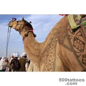 In India, Camels Get Designer #39Tattoos#39   DesignTAXIcom_35