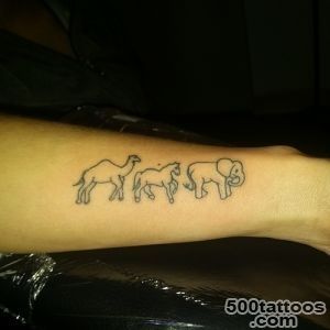 Pin Camel Horse Elephant on Pinterest_42