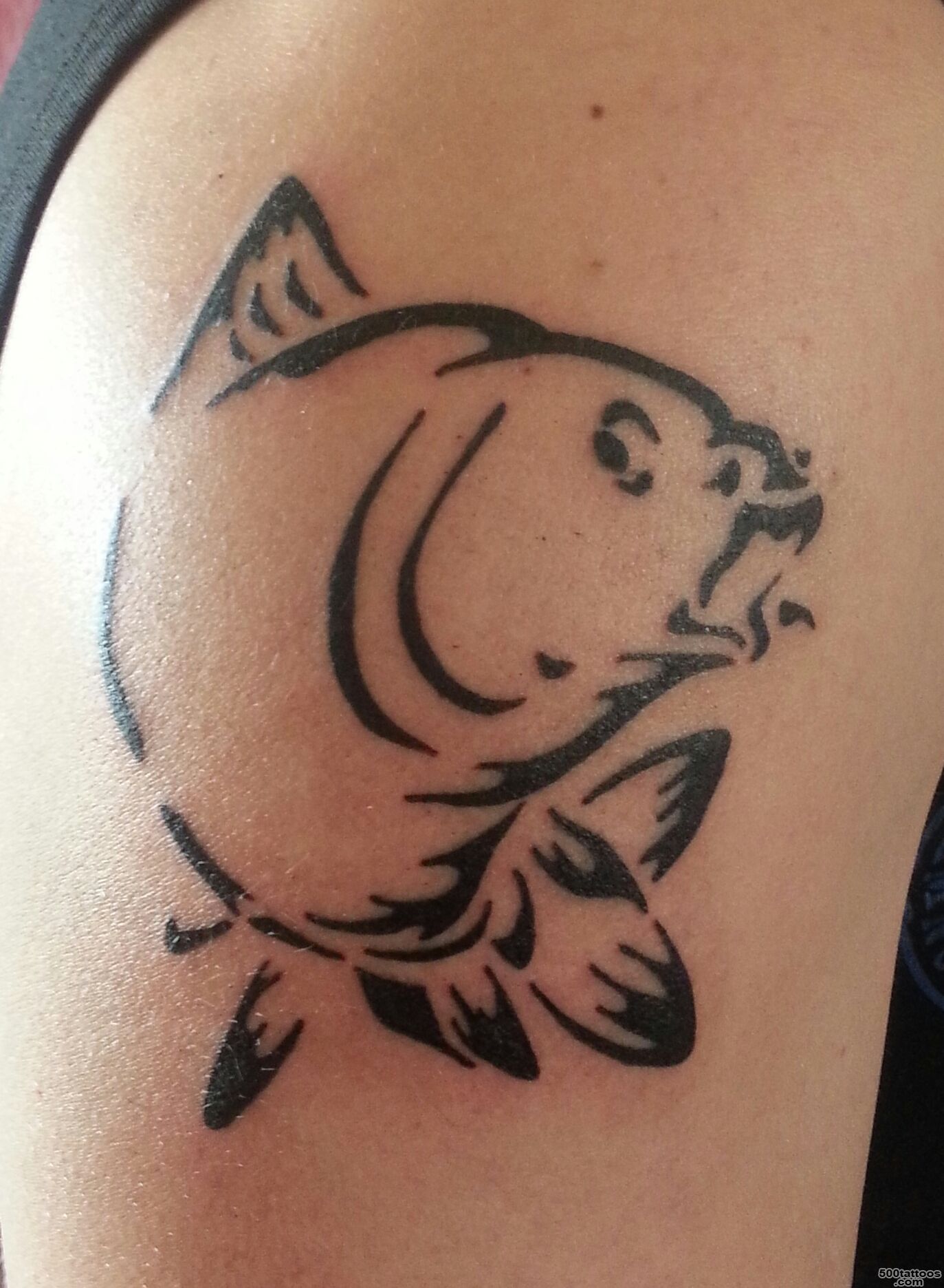 Carp Fish Tattoo Images amp Designs_29