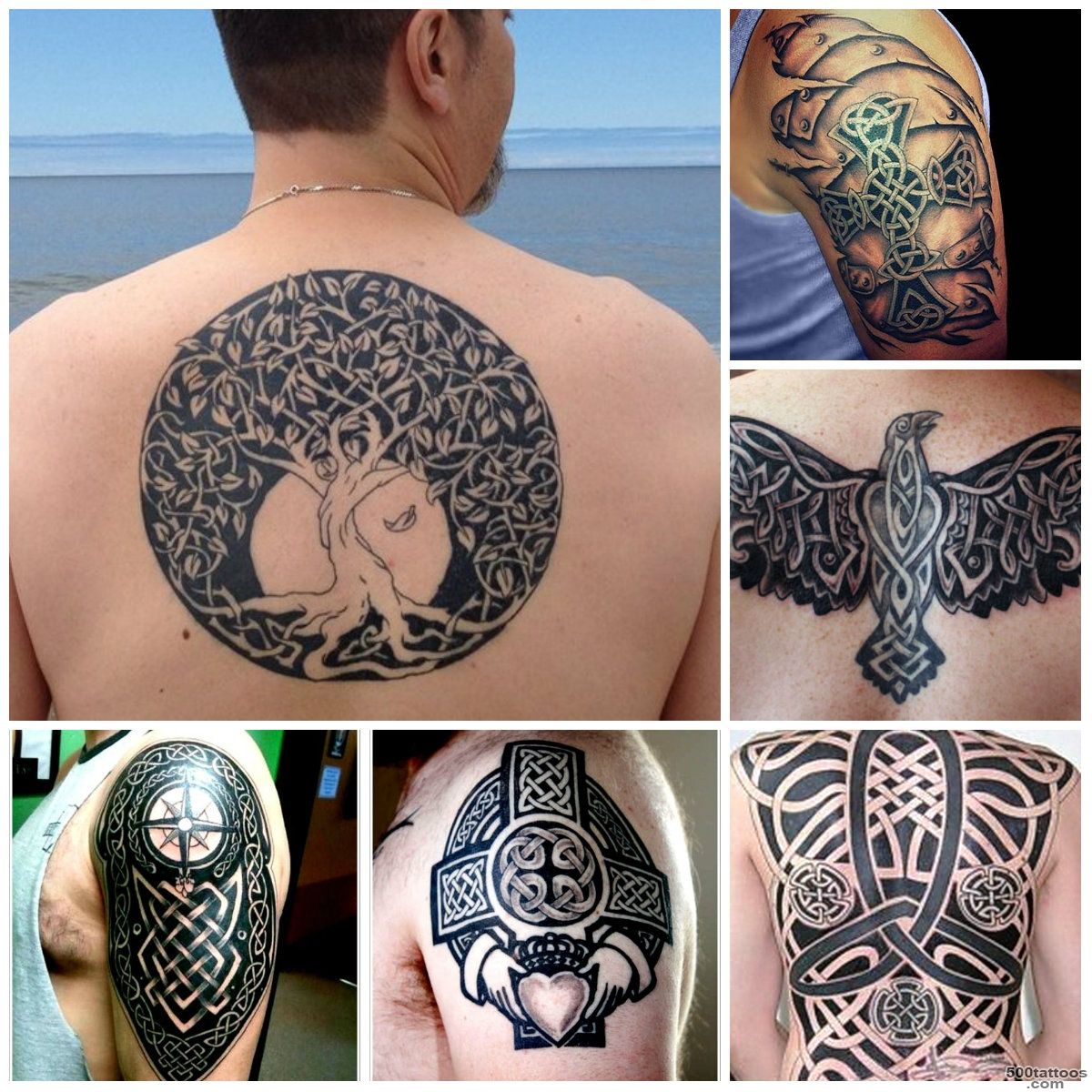 Celtic Tattoo Designs for Men  Tattoo Ideas Gallery amp Designs ..._2