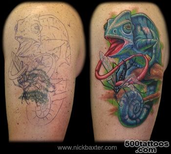 Getting a Chameleon Tattoo! = )  Chameleon Forums_16