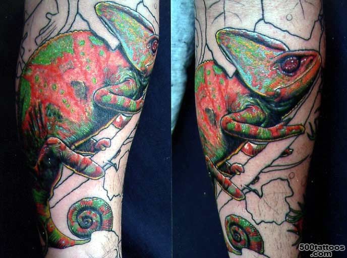 Looking for unique Wildlife tattoos Tattoos Chameleon tattoo_15