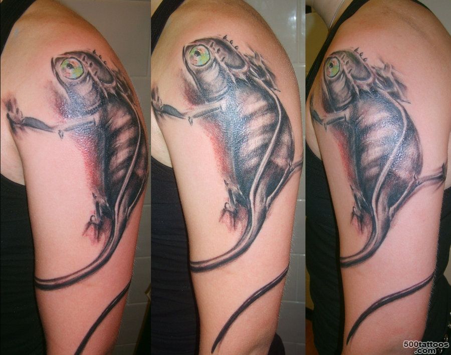 Meaning and photo tattoo hameleon_18