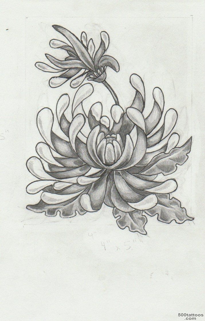 Chrysanthemum Tattoos, Designs And Ideas  Page 9_9