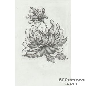 Chrysanthemum Tattoos, Designs And Ideas  Page 9_9