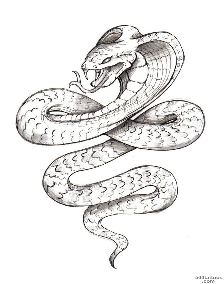 1000+ ideas about Cobra Tattoo on Pinterest  Snake Tattoo ..._1