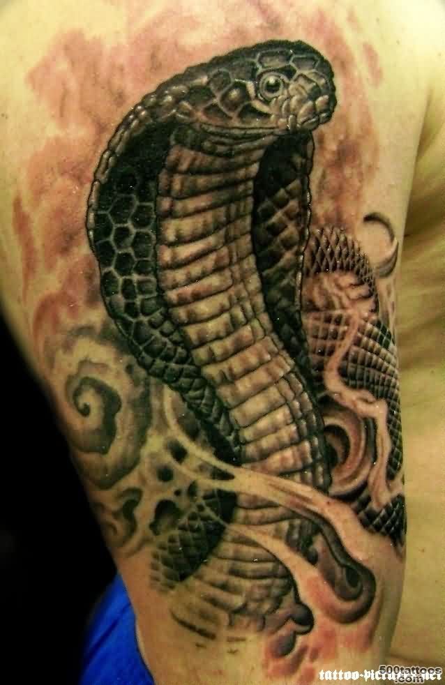 Flames And Cobra Tattoos On Arm  Tattoobite.com_3