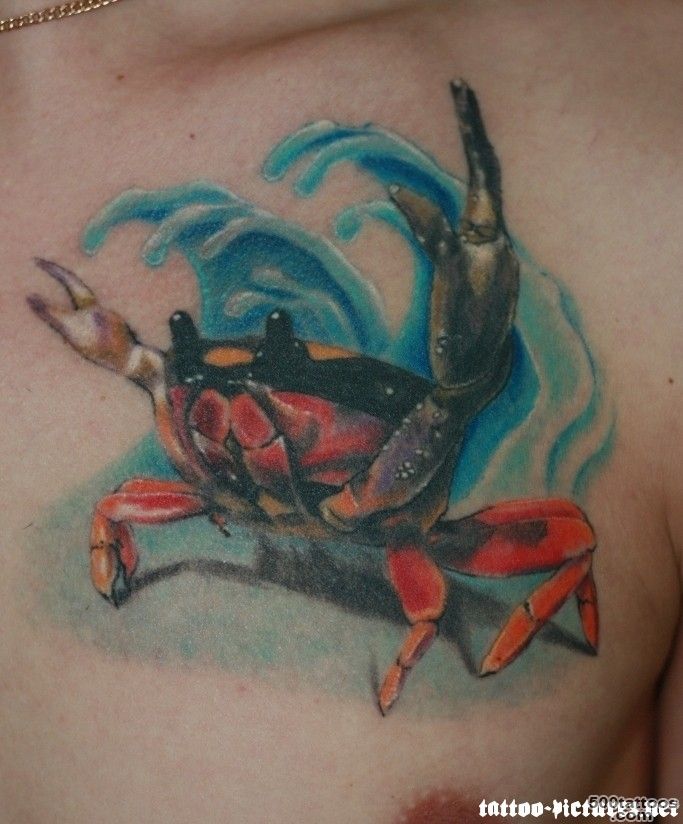 3D Crab Tattoo On Arm  Fresh 2016 Tattoos Ideas_5