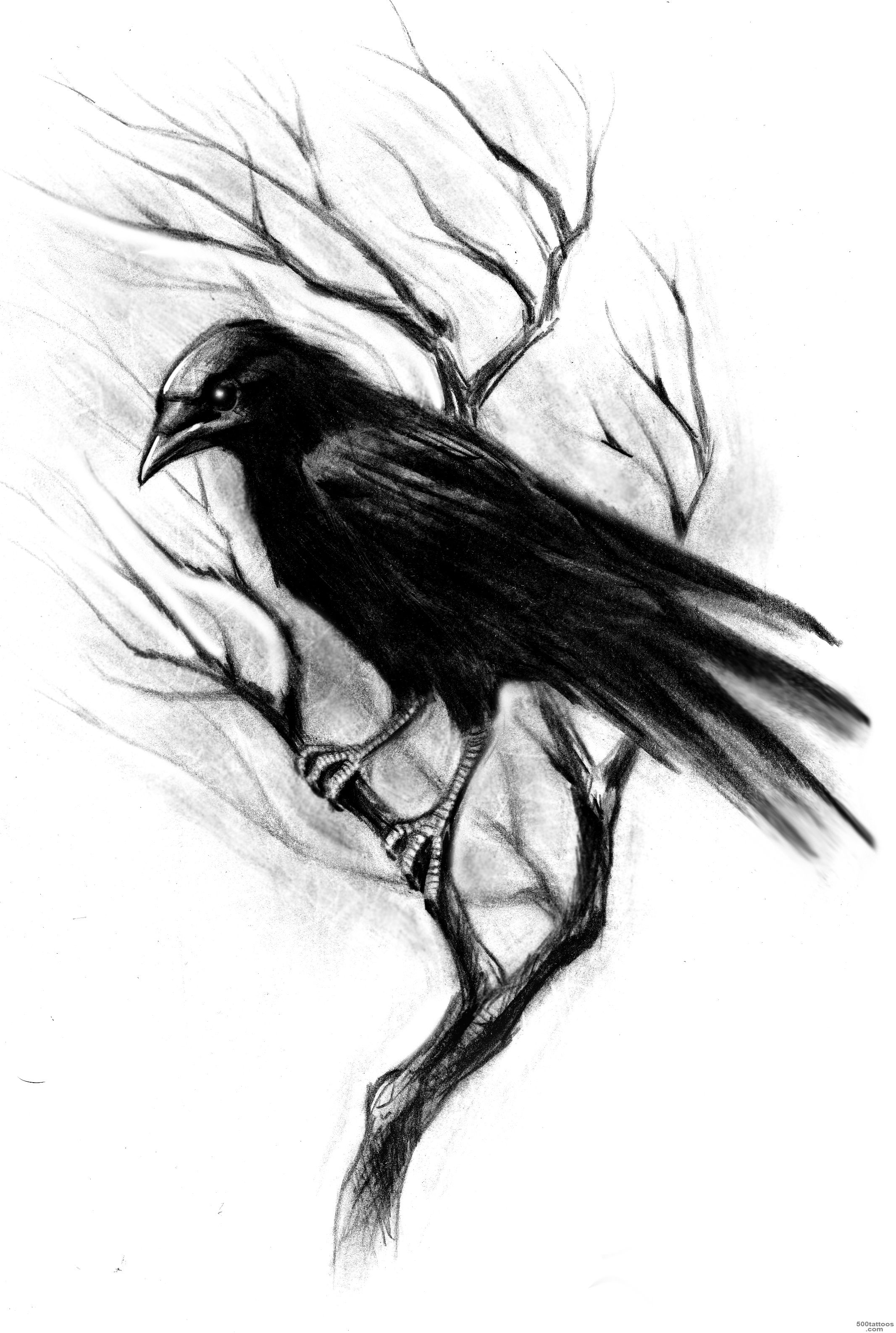 14 Crow Tattoo Designs, Samples And Ideas_5