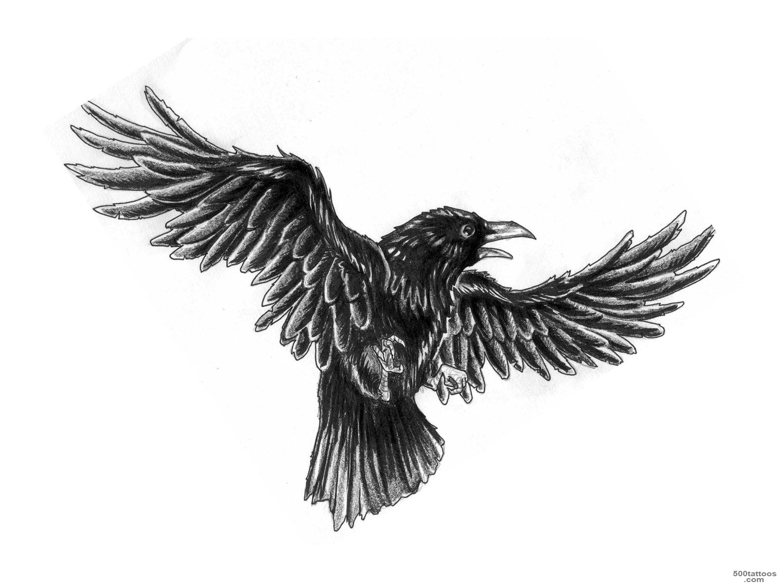 Crow Tattoo Design Sketch   Tattoes Idea 2015  2016_28