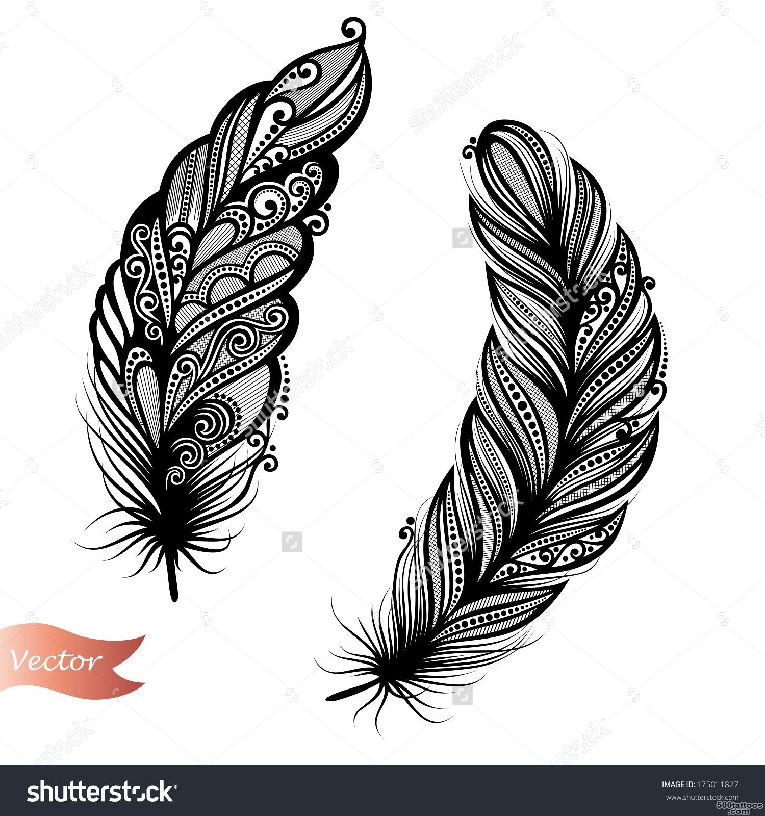 Peerless Decorative Feather (Vector), Patterned Design, Tattoo ..._47