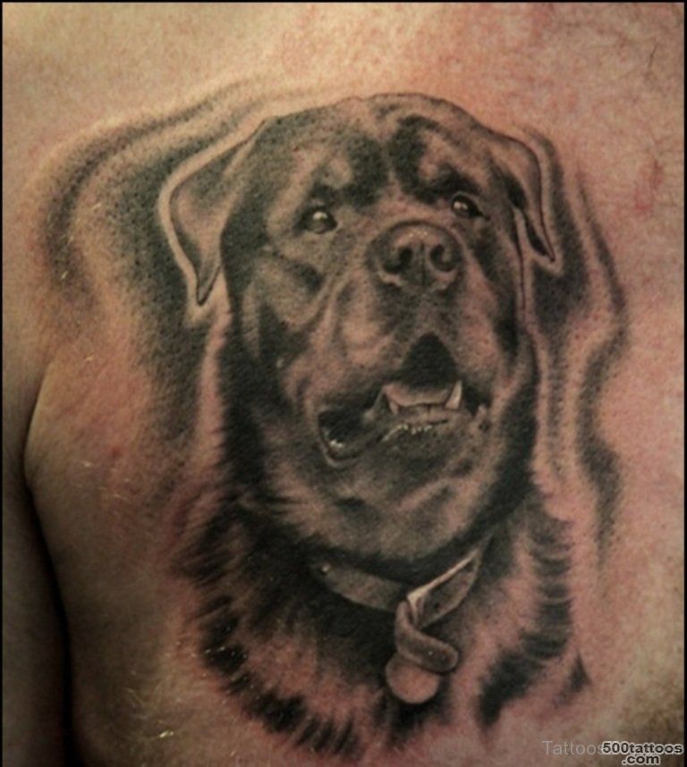 Dog Tattoos  Tattoo Designs, Tattoo Pictures_48