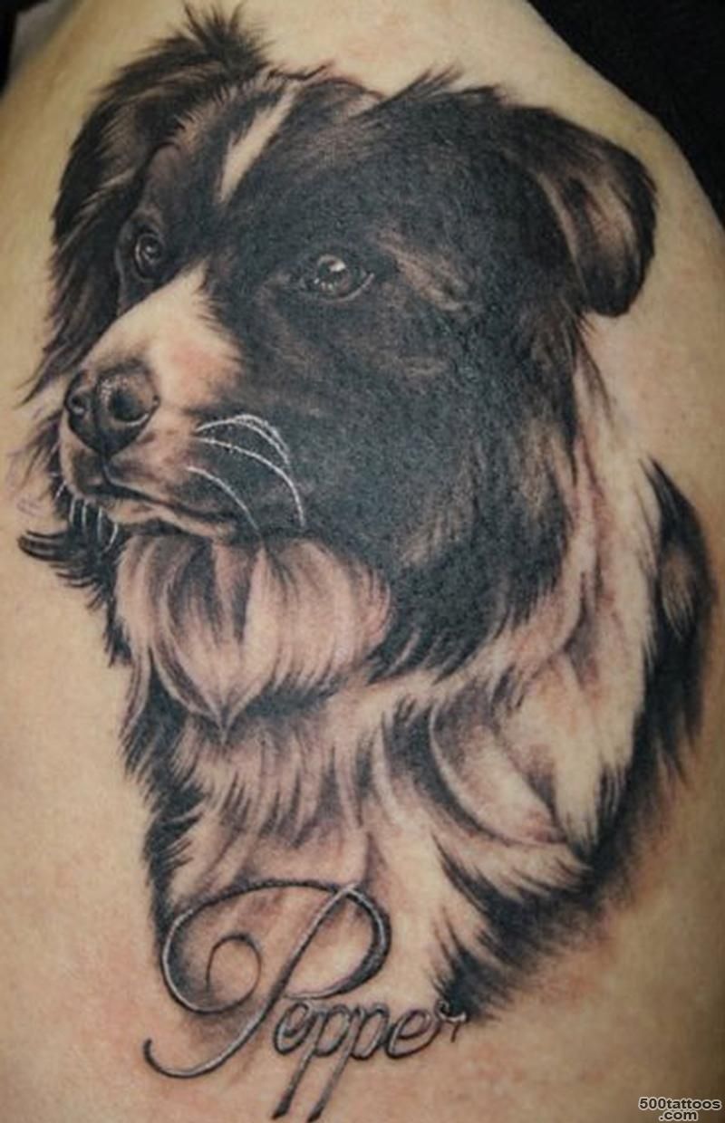 Stunning Dog Tattoo Ideas  Tattoo Ideas Gallery amp Designs 2016 ..._2