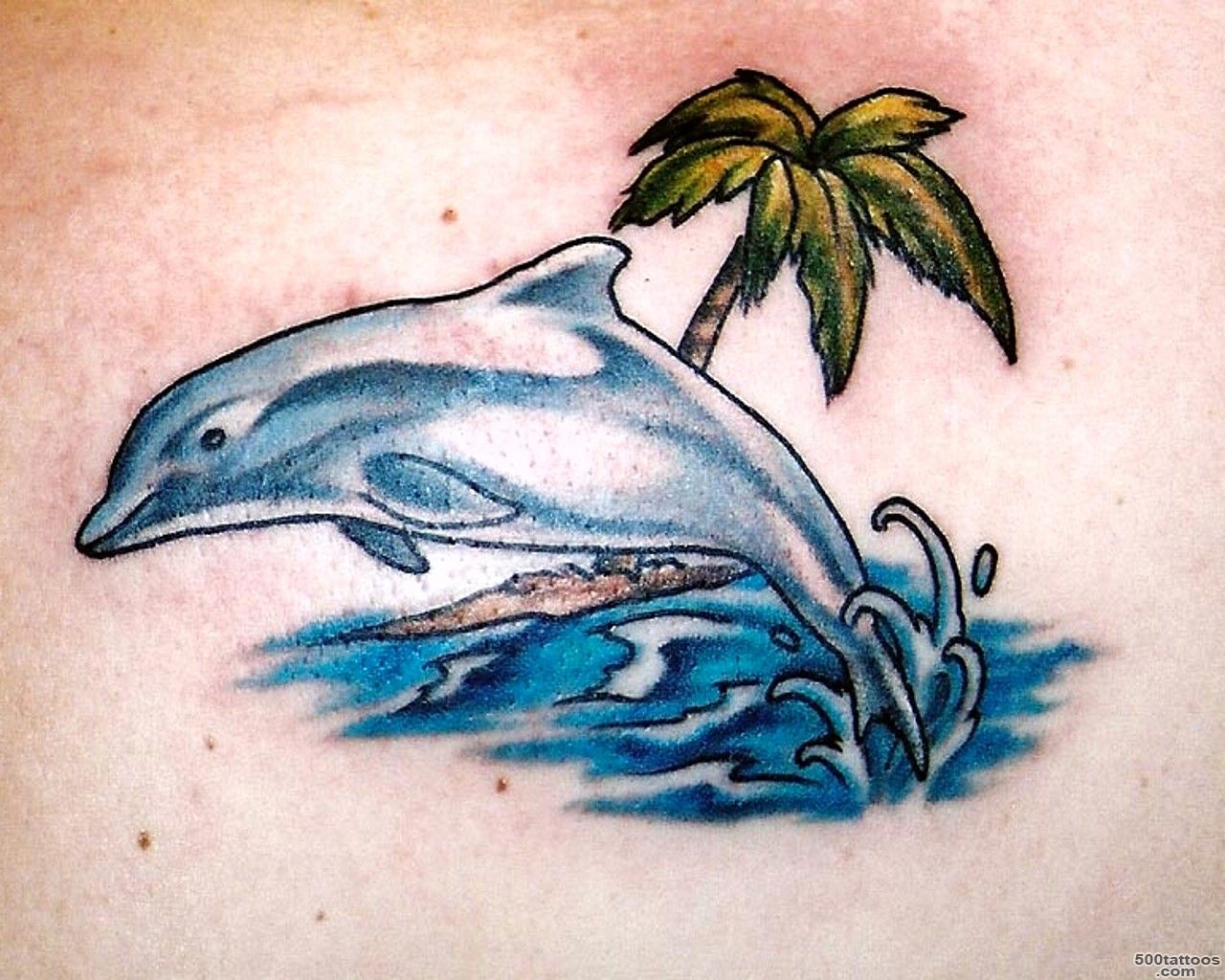 The Popular Dolphin Tattoo Designs   American Traditional Tattoos_7