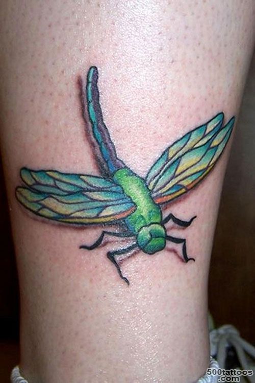 40 Marvelous Dragonfly Tattoo Designs  CreativeFan_44