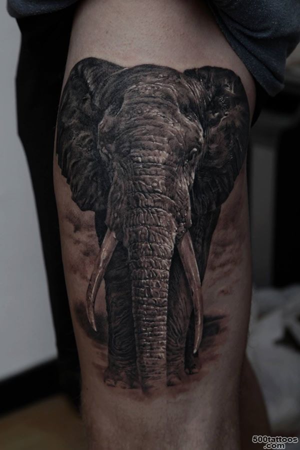 55 Elephant Tattoo Ideas  Art and Design_35