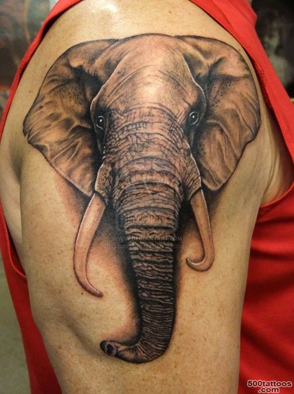 100 Mind Blowing Elephant Tattoo Designs with Images   Piercings ..._12
