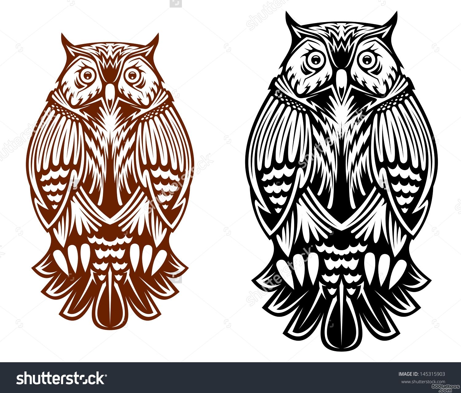 Beautiful Owl Isolated On White Background For Sport Team Mascot ..._44